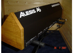DSC03162 (Large).JPG
