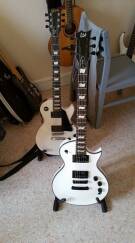 LTD EC-256 (2013)