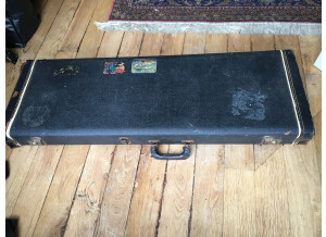 Fender Mustang/Musicmaster/Bronco Bass Multi-Fit Case