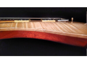 PRS CE24 (60583)