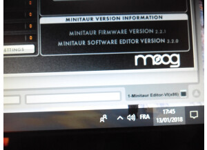 Moog Music Minitaur (11509)