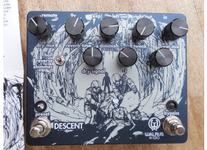 Walrus Audio Descent (12983)