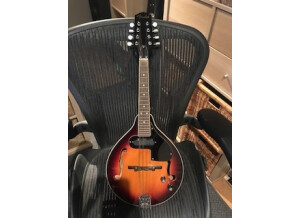 Fender FM-52E Mandolin (99863)