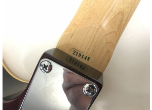 Gretsch G1910 Double Jet - Amber Satin (1891)