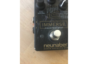 Neunaber Technology Immerse Reverberator (90175)