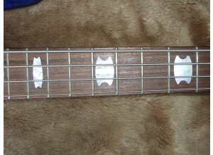 Spector Euro 4 LX (88114)