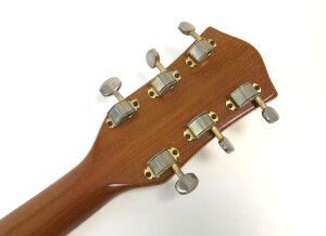 Gretsch 7620 Country Roc (28046)