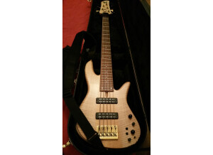 Fodera Guitars Emperor 5 Standard (27589)