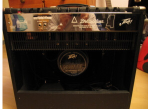 Peavey Delta Blues 115 (13840)