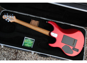 Music Man Luke (Vintage Tremolo) (27613)