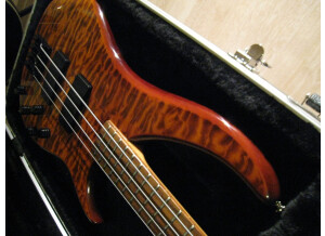 Peavey Cirrus BXP Bubinga