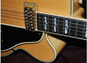 Fender Standard Stratocaster [1982-1986] (89919)