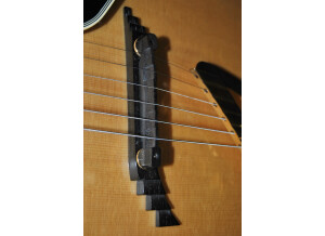 Fender Standard Stratocaster [1982-1986] (95347)