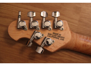Music Man Luke (Vintage Tremolo) (36687)