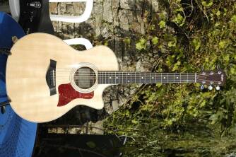 Taylor  414ce