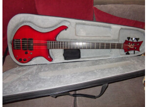 Vigier Passion 5 cordes