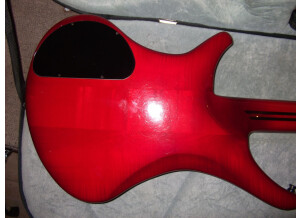 Vigier Passion 5 cordes
