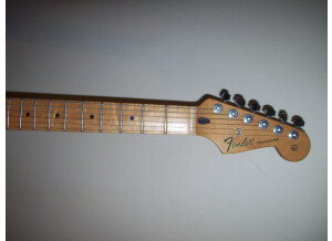 Fender Standard Stratocaster [2009-Current] (98632)