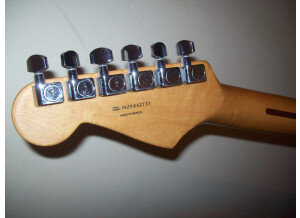 Fender Standard Stratocaster [2009-Current] (36421)