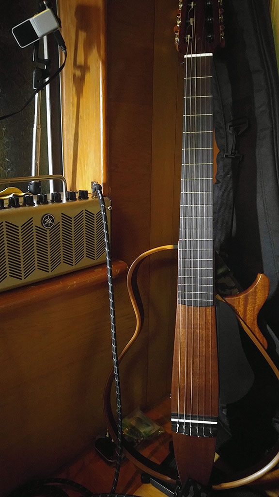 D'Addario Pro-Arté Carbon Classical