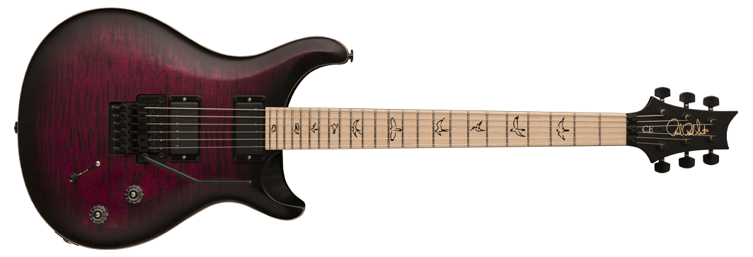 PRS DW CE 24 &ldquo;Floyd&rdquo; Limited Edition : dw ce24 straight 2018