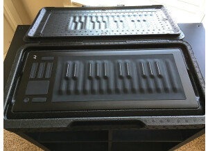 ROLI Seaboard Rise 25 (47903)