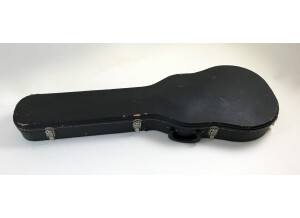 Gibson Les Paul Standard (1977) (29631)