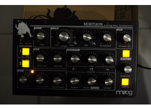 Moog Music Minitaur (3881)
