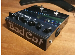 Bad Cat X-Treme Tone (44289)