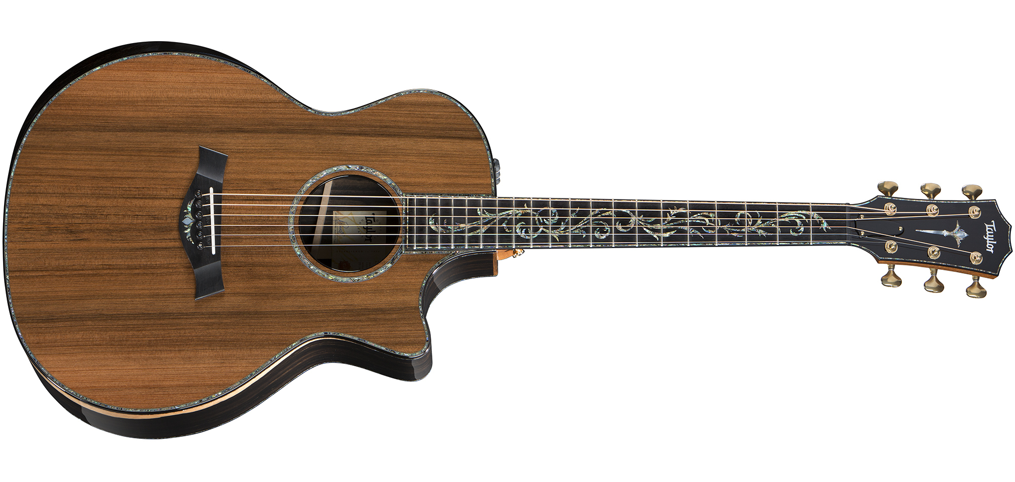 Taylor PS14ce [2018-Current] : Taylor PS14ce v class AfrEbony fr 2018