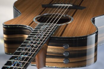 Taylor PS14ce v class beauty 2018 Taylor PS14ce v class beauty 2018