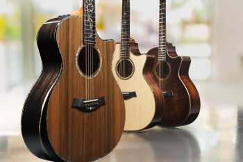 Taylor PS Koa 914 v class group 2018 Taylor PS Koa 914 v class group 2018