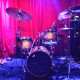 Jungle Set Jungle Set