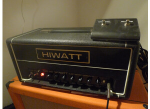 Hiwatt T20 Head (30148)