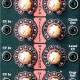 Modulation Orgy LFO - Model 2260 Modulation Orgy LFO - Model 2260