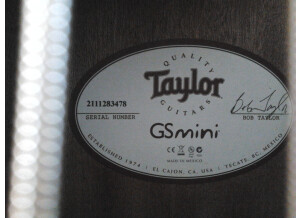 Taylor  GS Mini (40997)