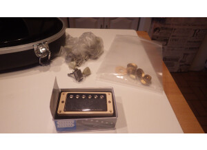 Gibson Les Paul Junior Special Humbucker (6884)