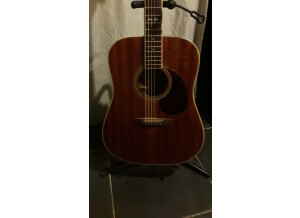 Cort Earth 250 (43688)