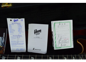 Gibson Les Paul Standard Bass (14300)