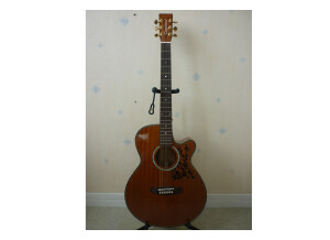 Tanglewood TW47 E (88527)