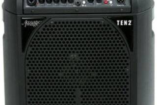 Acoustic Image Ten2 Combo