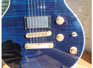 Gibson [Guitar of the Month - July 2008] Longhorn Double Cut - Trans Blue (93202)