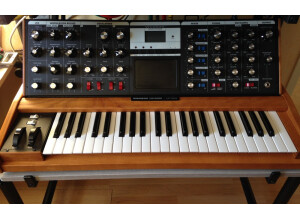 Moog Music Minimoog Voyager Performer Edition (45445)