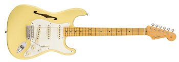 Eric Johnson Signature Stratocaster Thinline 5 Eric Johnson Signature Stratocaster Thinline 5