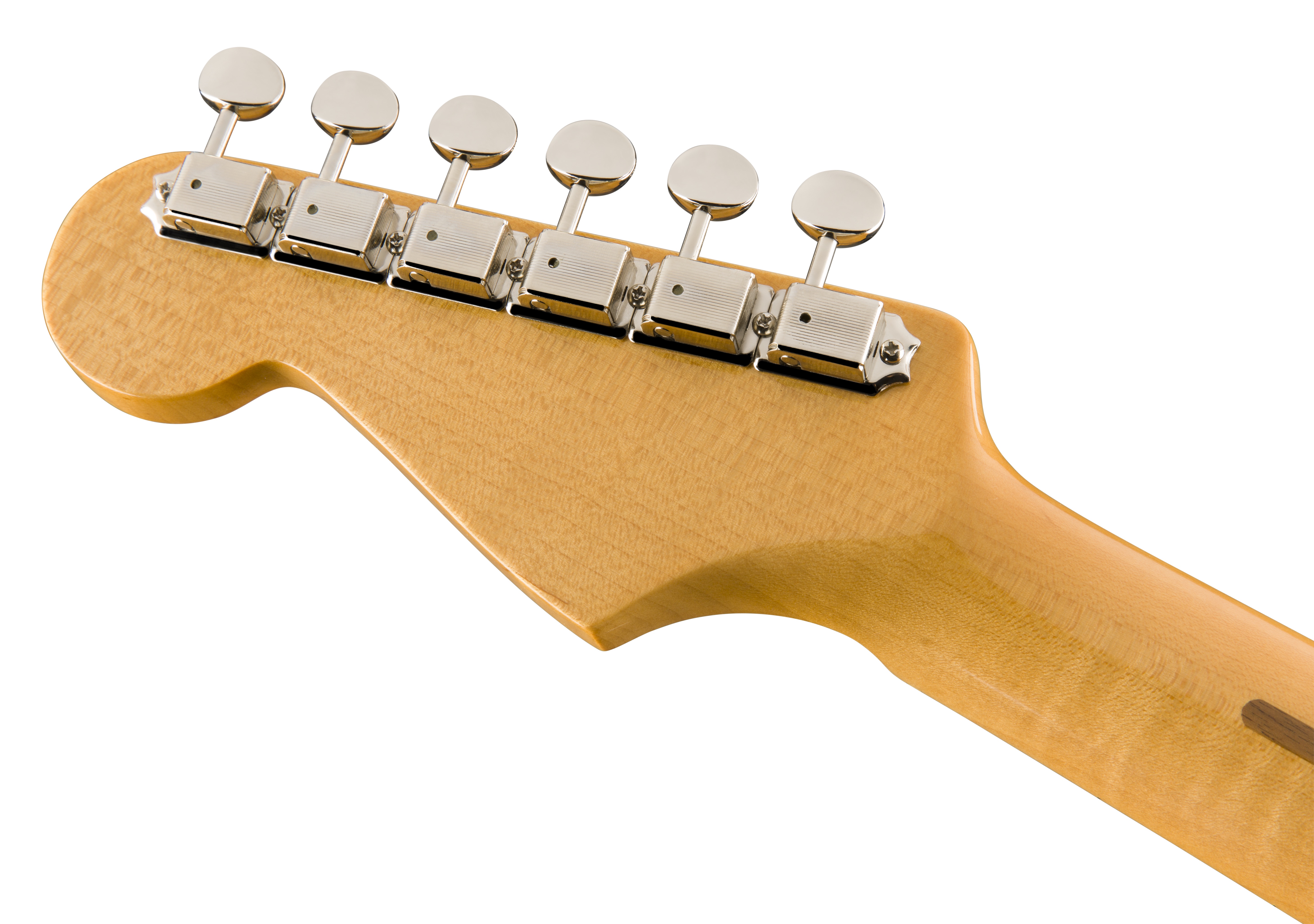 Eric Johnson Signature Stratocaster Thinline 3