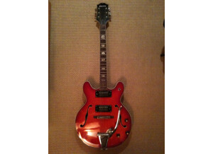Epiphone EA 250