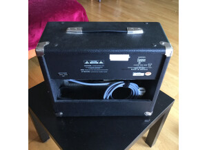 Fender Champion 110 (85380)