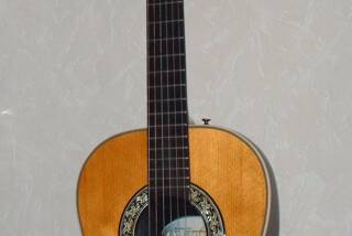 Ovation Country Artist 1624-4
