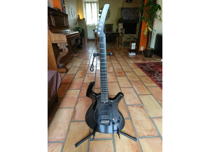 Parker Guitars NiteFly SA (85656)