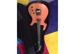Parker Guitars P-44V (93148)